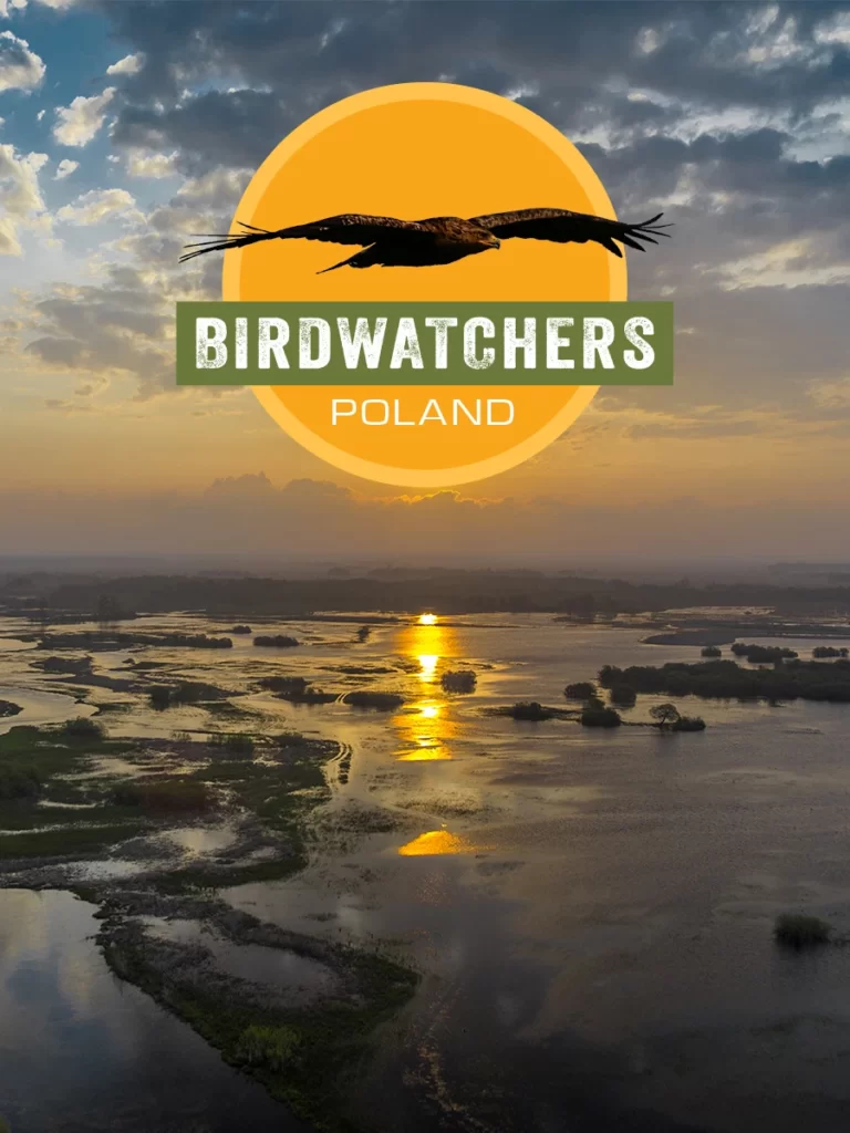 Birdwatchers Poland poster